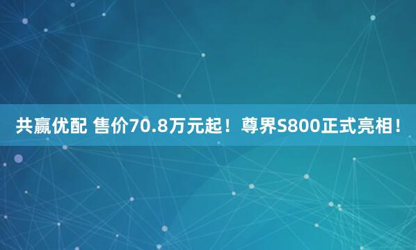 共赢优配 售价70.8万元起！尊界S800正式亮相！