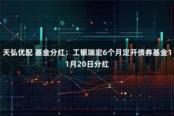 天弘优配 基金分红：工银瑞宏6个月定开债券基金11月20日分红