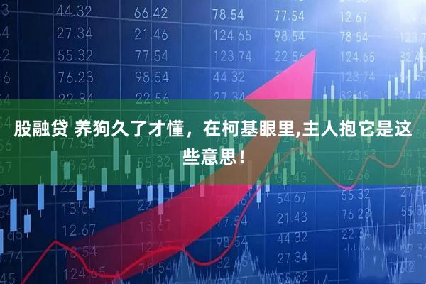 股融贷 养狗久了才懂，在柯基眼里,主人抱它是这些意思！